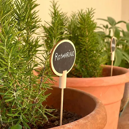 Ferienwohnung In Mit Privater Terrasse